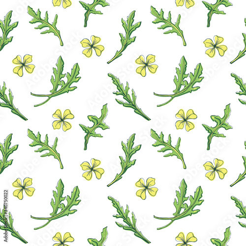 Seamless pattern with rocket salad leaves and flowers/ Hand drawn colorful background/ Vector illustration