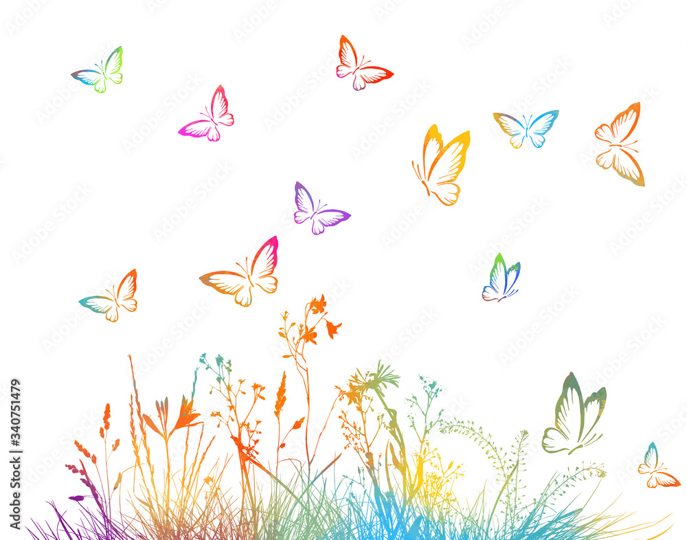 picturesque silhouette of grass with butterflies on white background. Vector illustration