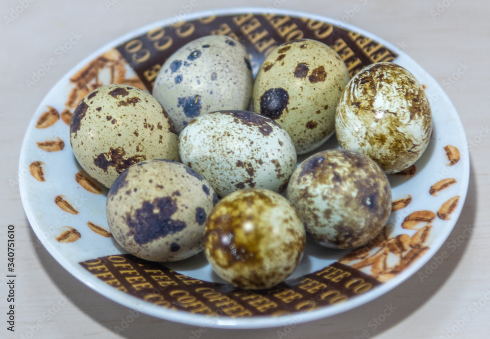 Quail eggs arranged in a porcelain saucer on a neutral background Quail eggs arranged in a porcelain saucer on a neutral background
