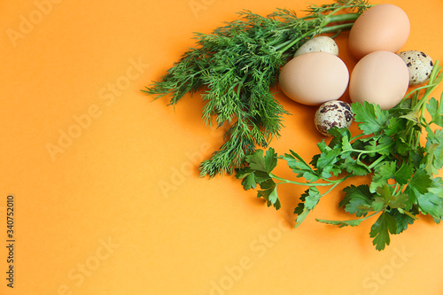 small quail and large chicken eggs with bunches of dill and parsley