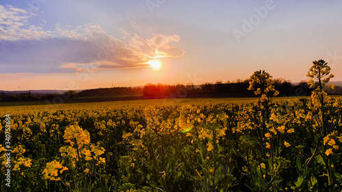 Sonnenuntergang über dem Feld