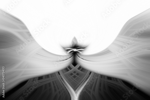 abstract black and white background 00085 photo