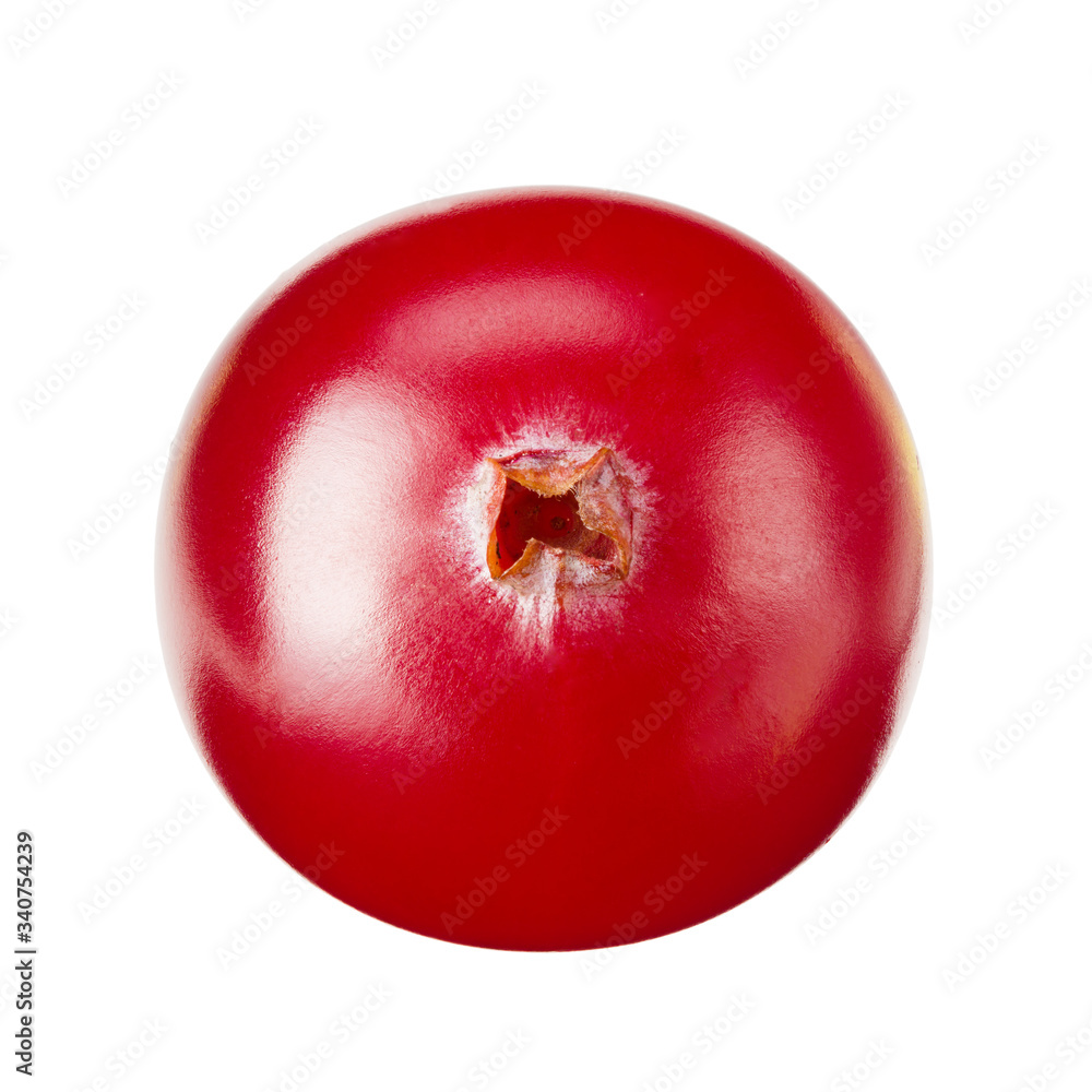 One cranberry isolated on white background. macro One cranberry isolated on white background. macro