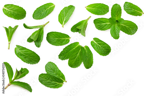 Fresh mint leaves isolated on white background. top view