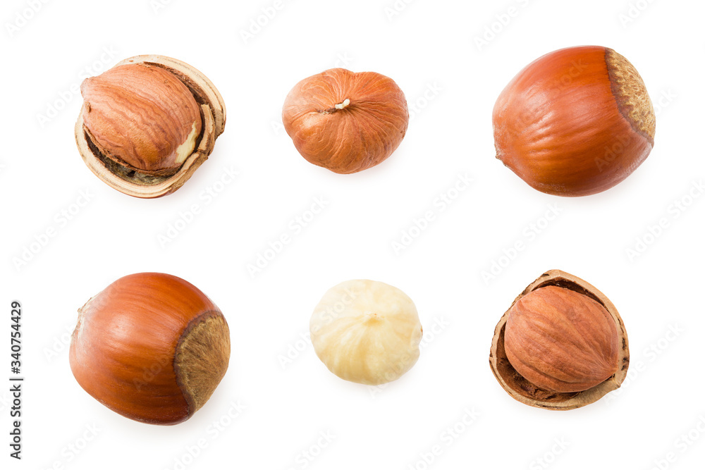hazelnuts isolated on a white background. top view