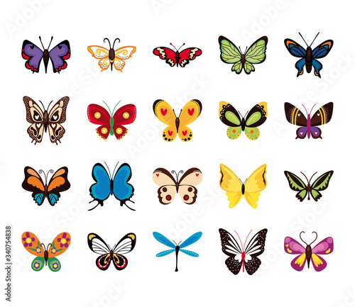 bundle of butterflies set icons