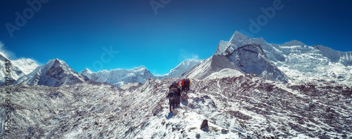 Mountaineers make climbing Mount Island Peak Imja Tse , 6,189 m, Nepal. photo