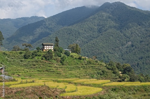 Wallpaper Mural Countryside in the Himalaya Torontodigital.ca