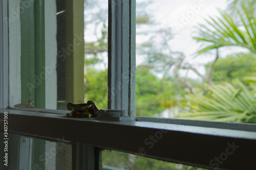 Photography Detalle de una ventana de la casa de Ernest Hemingway