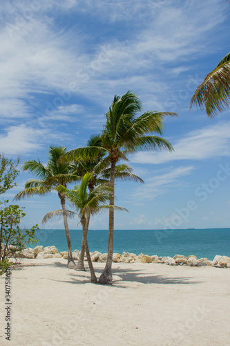 Playa y palmeras en Fort Taylor Beach, Key West