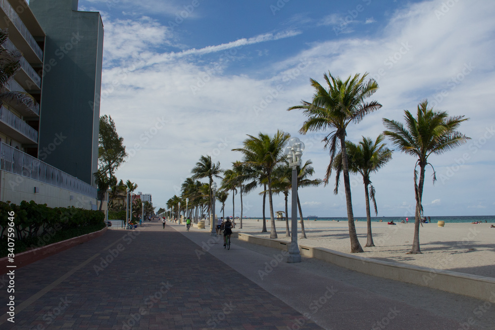 Hollywood Beach Miami. Playa grande, palmeras y un camino