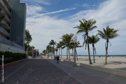 Hollywood Beach Miami. Playa grande  palmeras y un camino