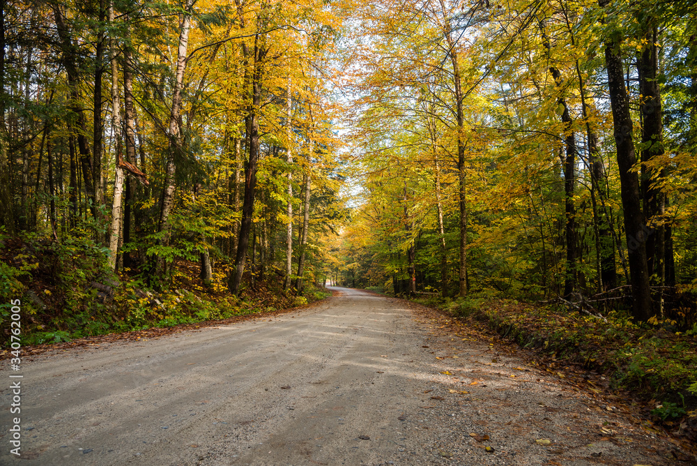 Emptu unpaved forest road on an autumn morning. Beautiful fall foliage