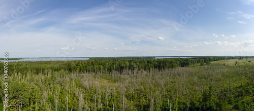 Amazin panoramic picture of a field full of green trees located next to the Sniardwy lake, mazury, Poland. Blue sky over the landscape.