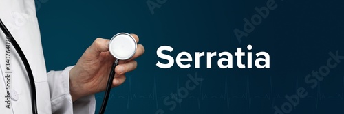 Serratia. Arzt im Kittel hält Stethoskop. Das Wort Serratia steht daneben. Symbol für Medizin, Krankheit, Gesundheit photo