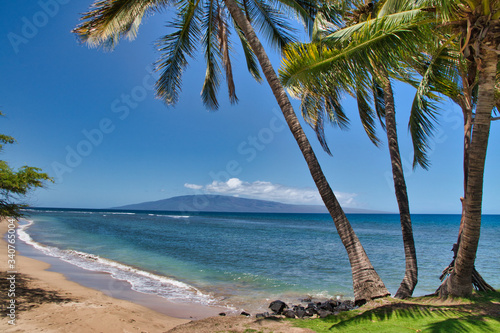 Fototapeta Naklejka Na Ścianę i Meble -  Lanai and palm tree view from Maui.
