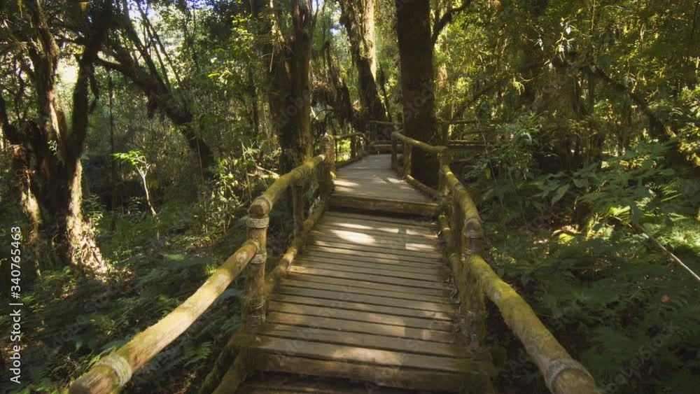 Trail in the highlands of Thailand, near Chiang Mai Trail in the highlands of Thailand, near Chiang Mai