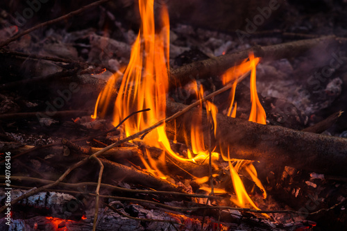 Close up on alive burning, fireplace