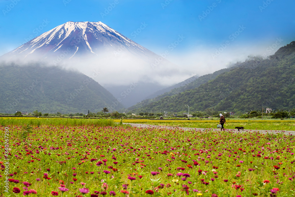 beautiful flower place with nice mountain behind it beautiful flower place with nice mountain behind it