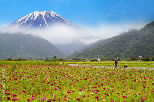 beautiful flower place with nice mountain behind it