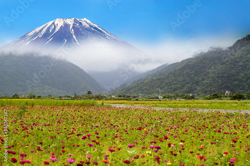 beautiful flower place with nice mountain behind it © nicholashan
