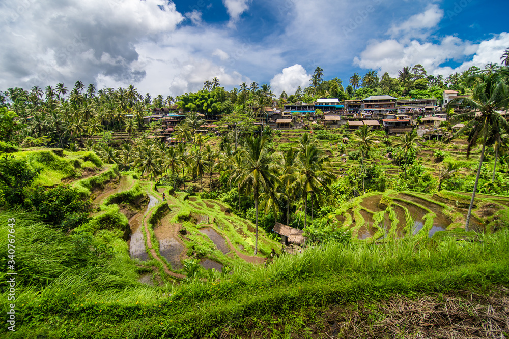 Tegallalang, Bali - February, 2020: Near the cultural village of Ubud is an area known as Tegallalang that boasts the most dramatic terraced rice fields in all of Bali.