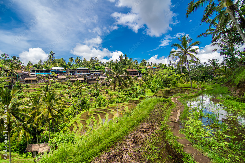 Tegallalang, Bali - February, 2020: Near the cultural village of Ubud is an area known as Tegallalang that boasts the most dramatic terraced rice fields in all of Bali.