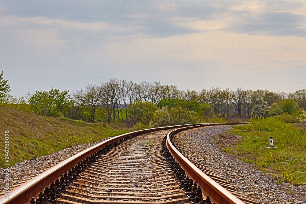 Fototapeta premium railroad tracks in the forest