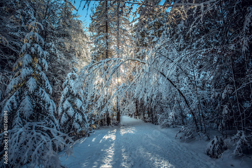 Zakopane Dolina Chochołowska