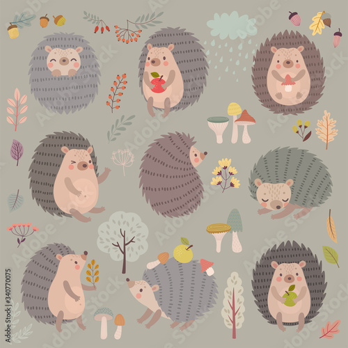Hedgehog set hand drawn style. Cute Woodland characters playing, sleeping, relaxing and having fun.