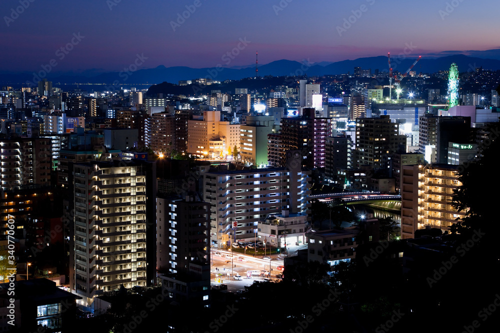 Obraz premium 城山より見る鹿児島市街地の夜景 