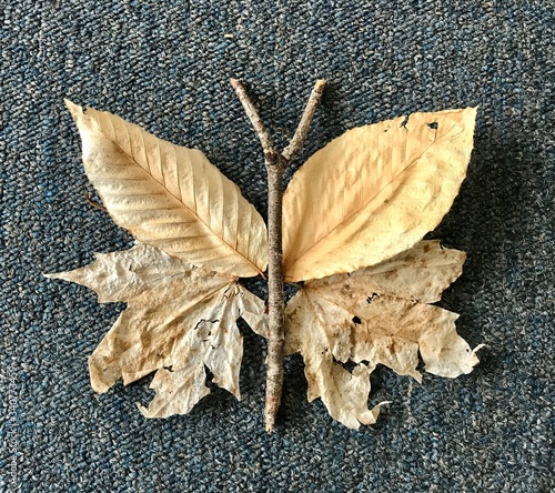 Butterfly made of dry leaves
