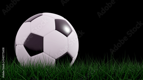 Classic soccer ball on the green field with a back background.3d rendering.