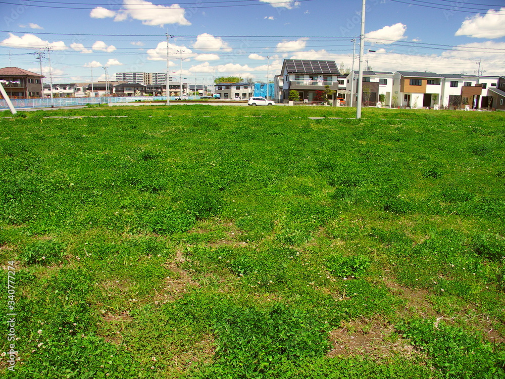 Obraz premium 建設予定地の春の野原風景