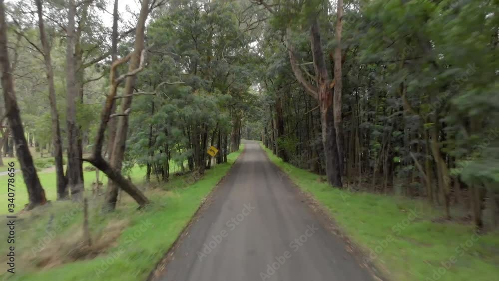 Aerial shot moving forward fast down a lonely dirt road enclosed with trees. Aerial shot moving forward fast down a lonely dirt road enclosed with trees.