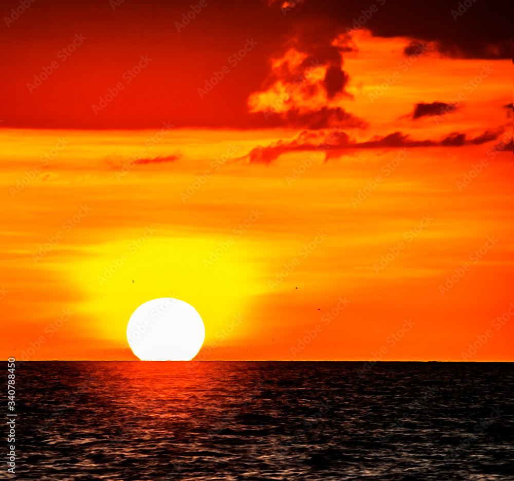 sunset with bird, sun, sea, sky, red, orange, water, dusk, golden, landscape, cloudscape