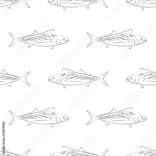 Bonito. Fish. Colored Vector Patterns. 