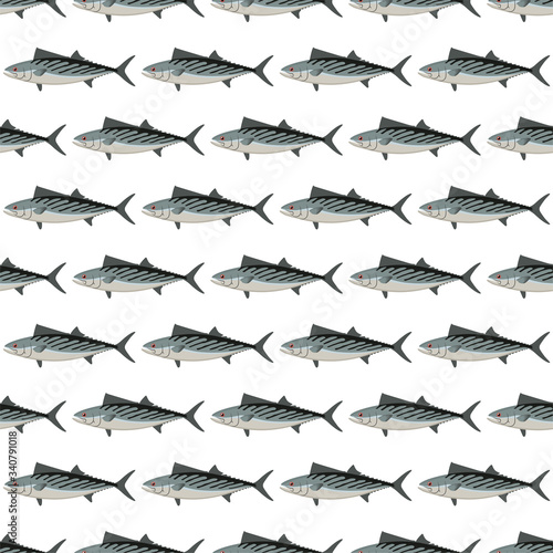 Bonito. Fish. Colored Vector Patterns. 