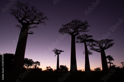 マダガスカルのバオバブ街道でみた夕日と朝日