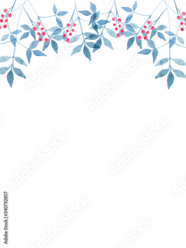 ナンテンのフレーム