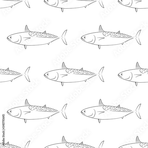 Tuna Fish. Mackerel Tuna. Colored Vector Patterns