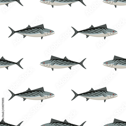 Bonito. Fish. Colored Vector Patterns. 