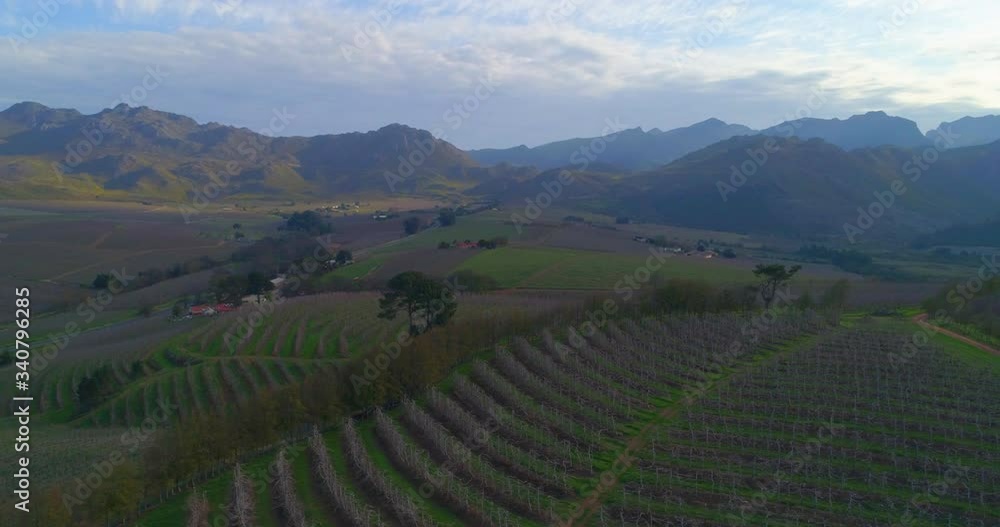 A striking aerial over extensive vineyards and large fields with distant hazy mountains at dusk - Cape Town, South Africa A striking aerial over extensive vineyards and large fields with distant hazy mountains at dusk - Cape Town, South Africa