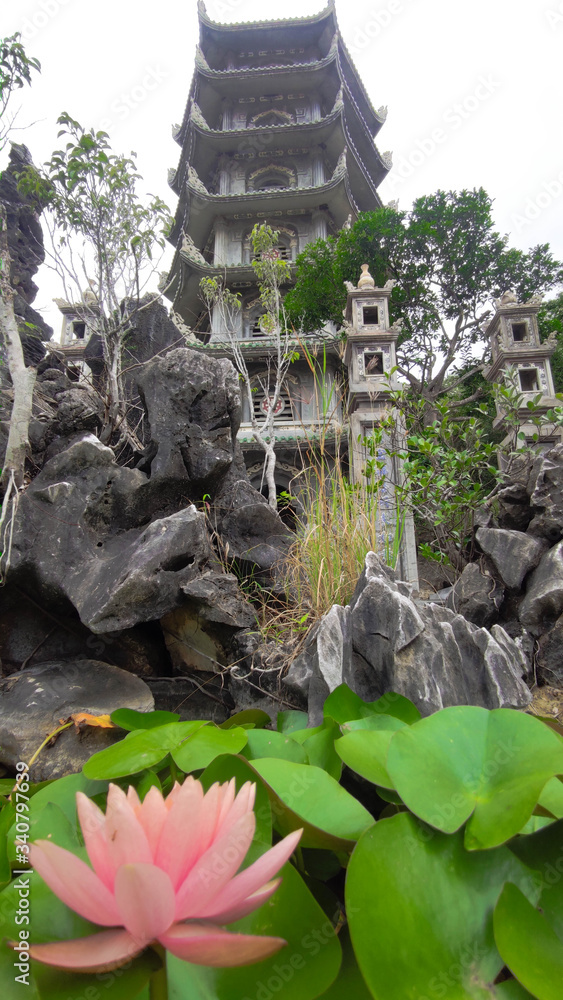 Fototapeta premium Lotus pods with old church background in the temple