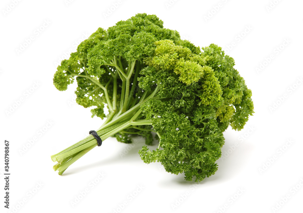 fresh parsley tied isolated on white background fresh parsley tied isolated on white background