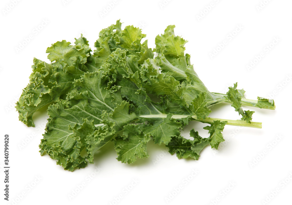kale leafy vegetable closeup on white background kale leafy vegetable closeup on white background
