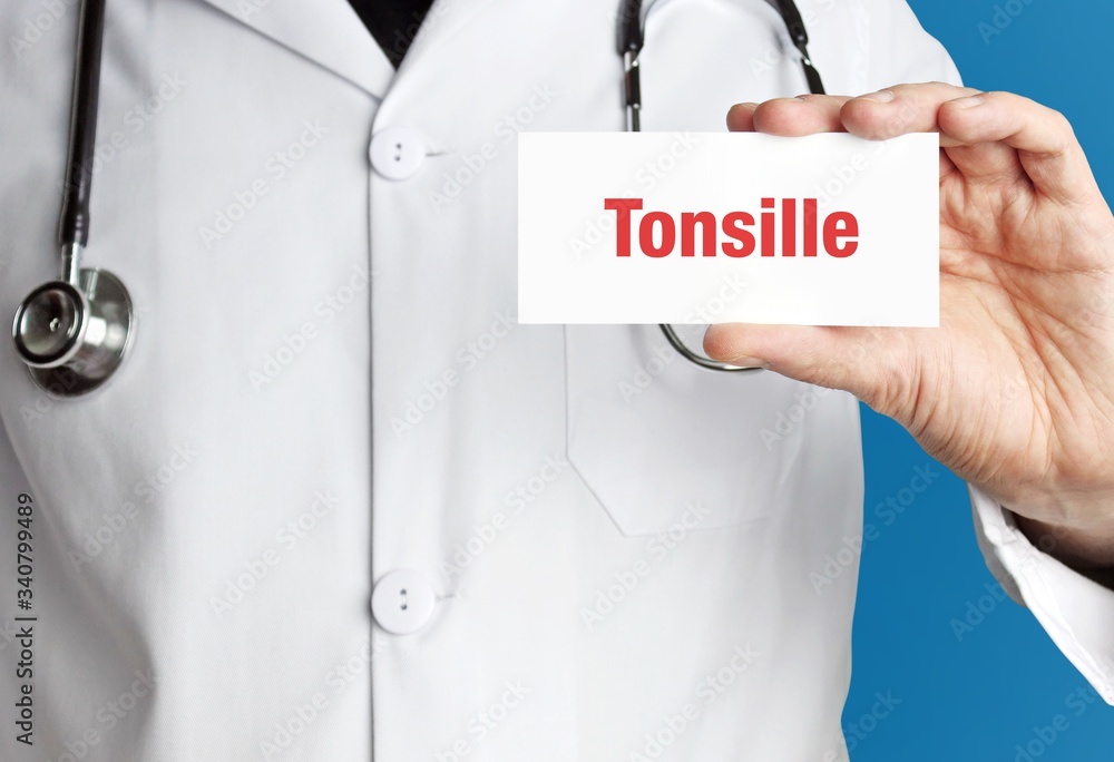 Tonsille. Arzt im Kittel hält Visitenkarte hoch. Der Begriff Tonsille steht im Schild. Symbol für Krankheit, Gesundheit, Medizin Tonsille. Arzt im Kittel hält Visitenkarte hoch. Der Begriff Tonsille steht im Schild. Symbol für Krankheit, Gesundheit, Medizin