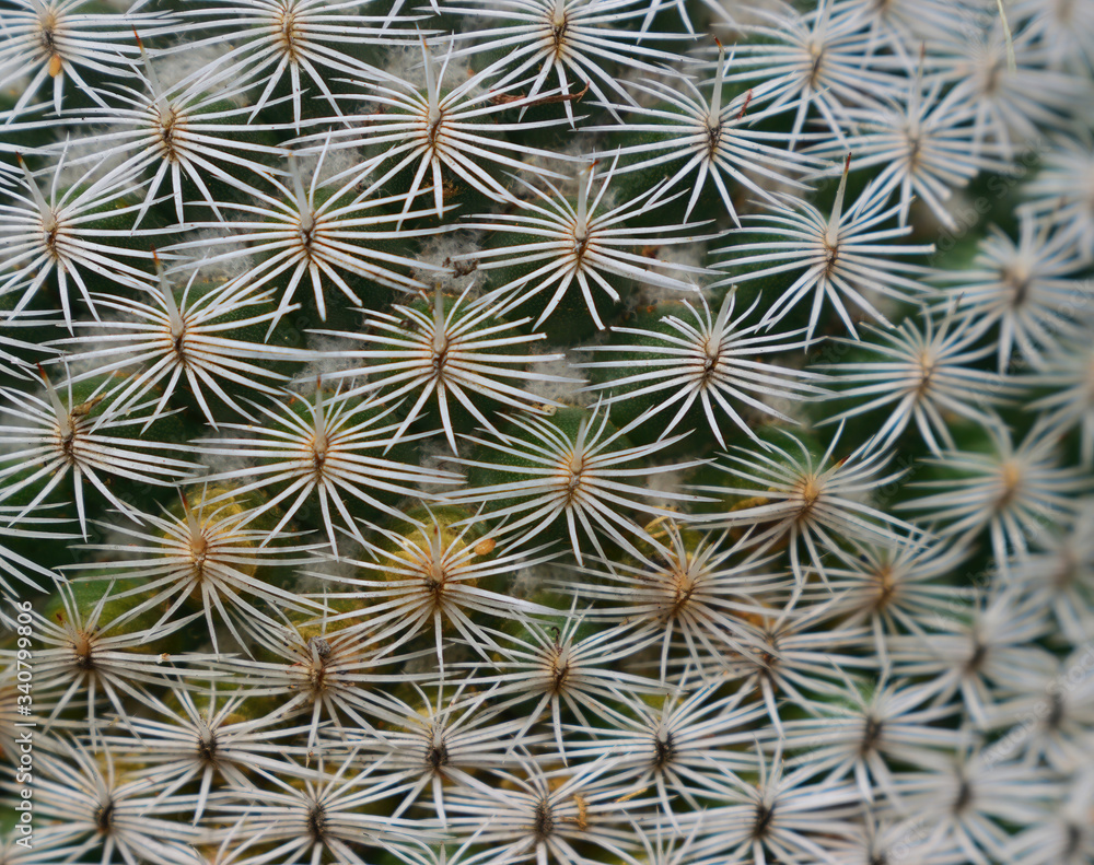 patterns patterns