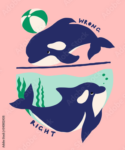 Cute flat killer whale drawing. Adorable little cartoon orca vector illustration. Childish rare animal in wild ocean. Save orcas, do not use dolphinarium, stop whale show , care about nature concept.