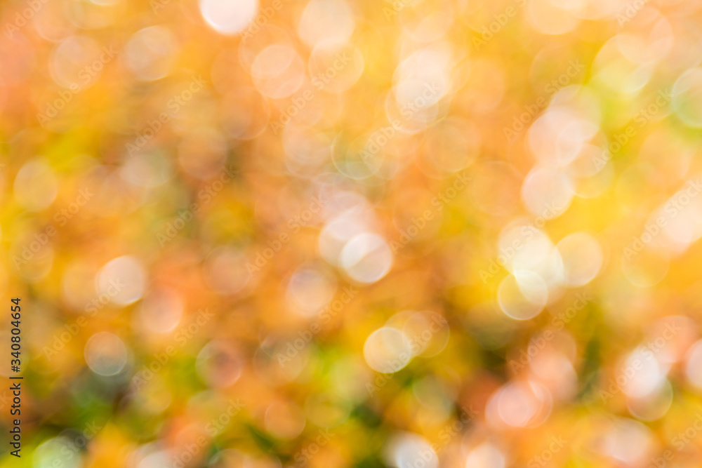 Fototapeta premium Bokeh background With natural light, green, yellow, orange with blurred